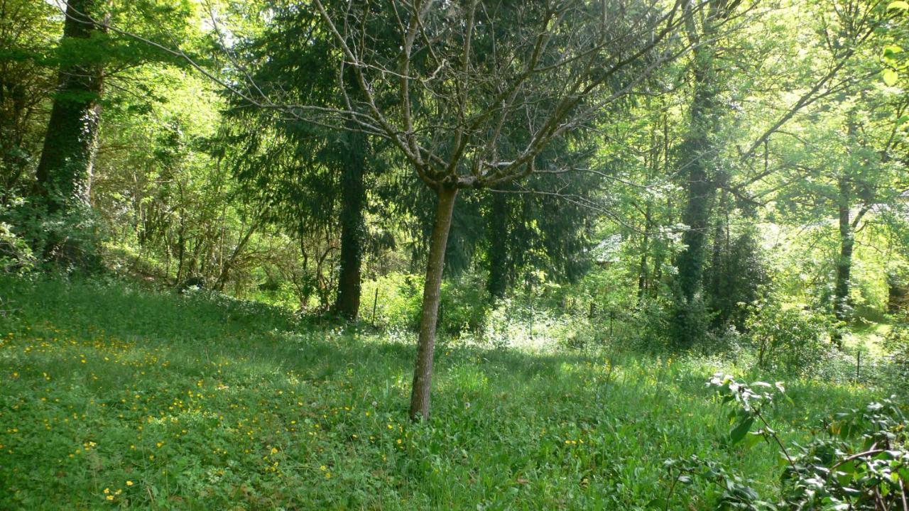 Gite Au Bord De La Riviere Gijou Saint-Pierre-de-Trivisy Экстерьер фото